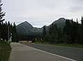 Solisko
